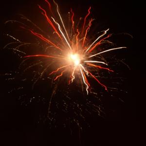 A1110298 Up